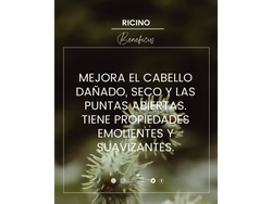 Aceite vehicular de Ricino x 100ml