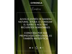 Aceite esencial de Citronella x 10ml