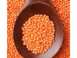 Lentejas Turcas x 500grs
