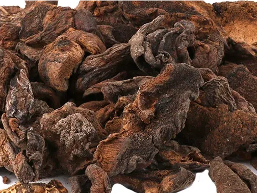 Hongos de pino deshidratados x 100grs