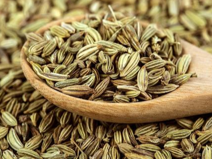 Semillas de hinojo x 100grs