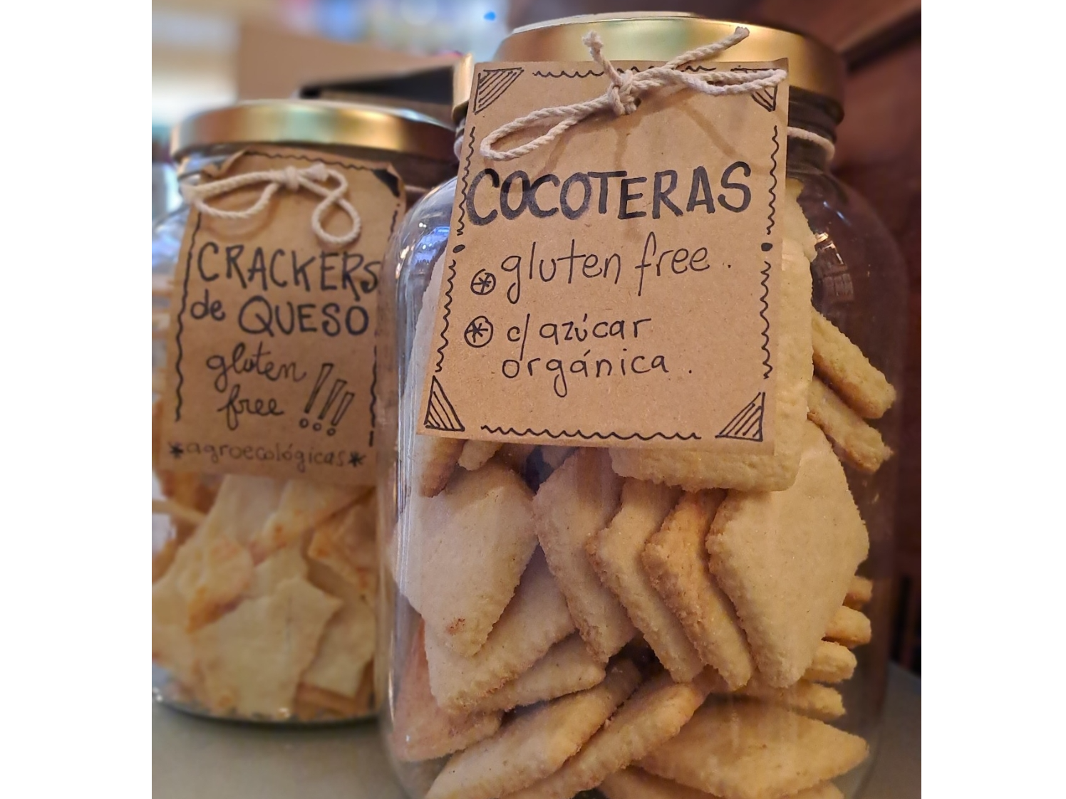 Cocoteras x 200grs (sin gluten)