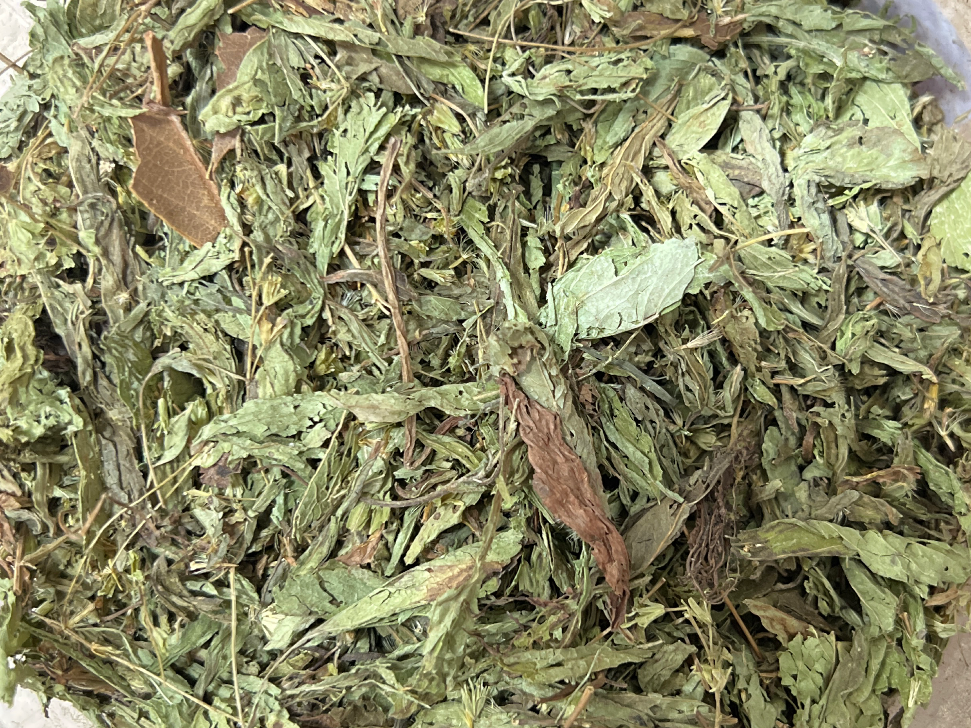 Stevia en hojas