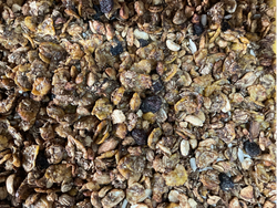 Granola proteíca sport