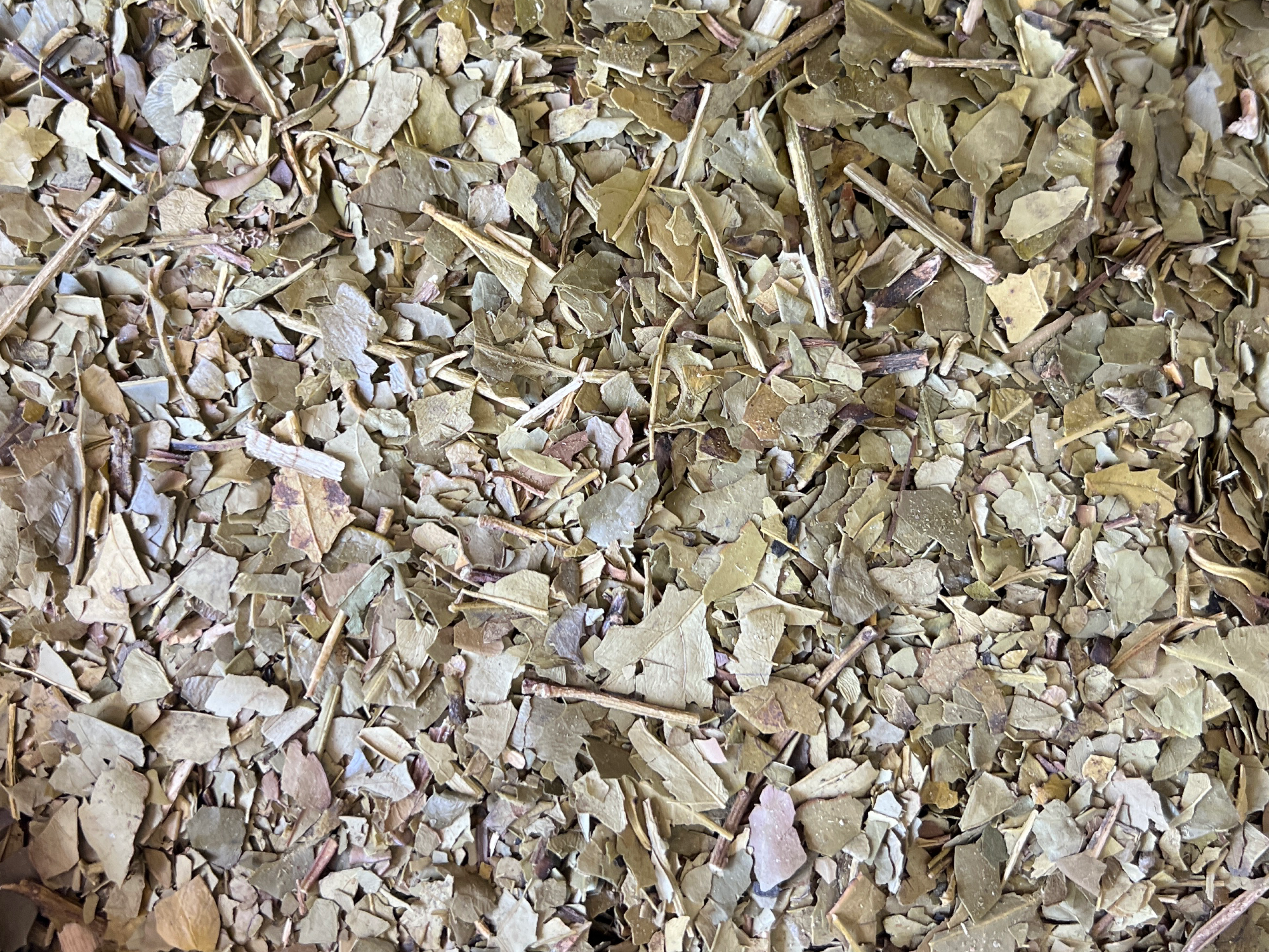 Yerba ajedrez premium despalada