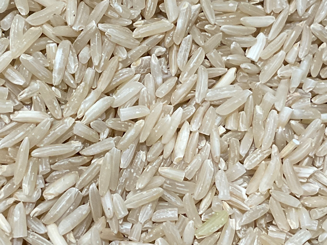 Arroz fino integral