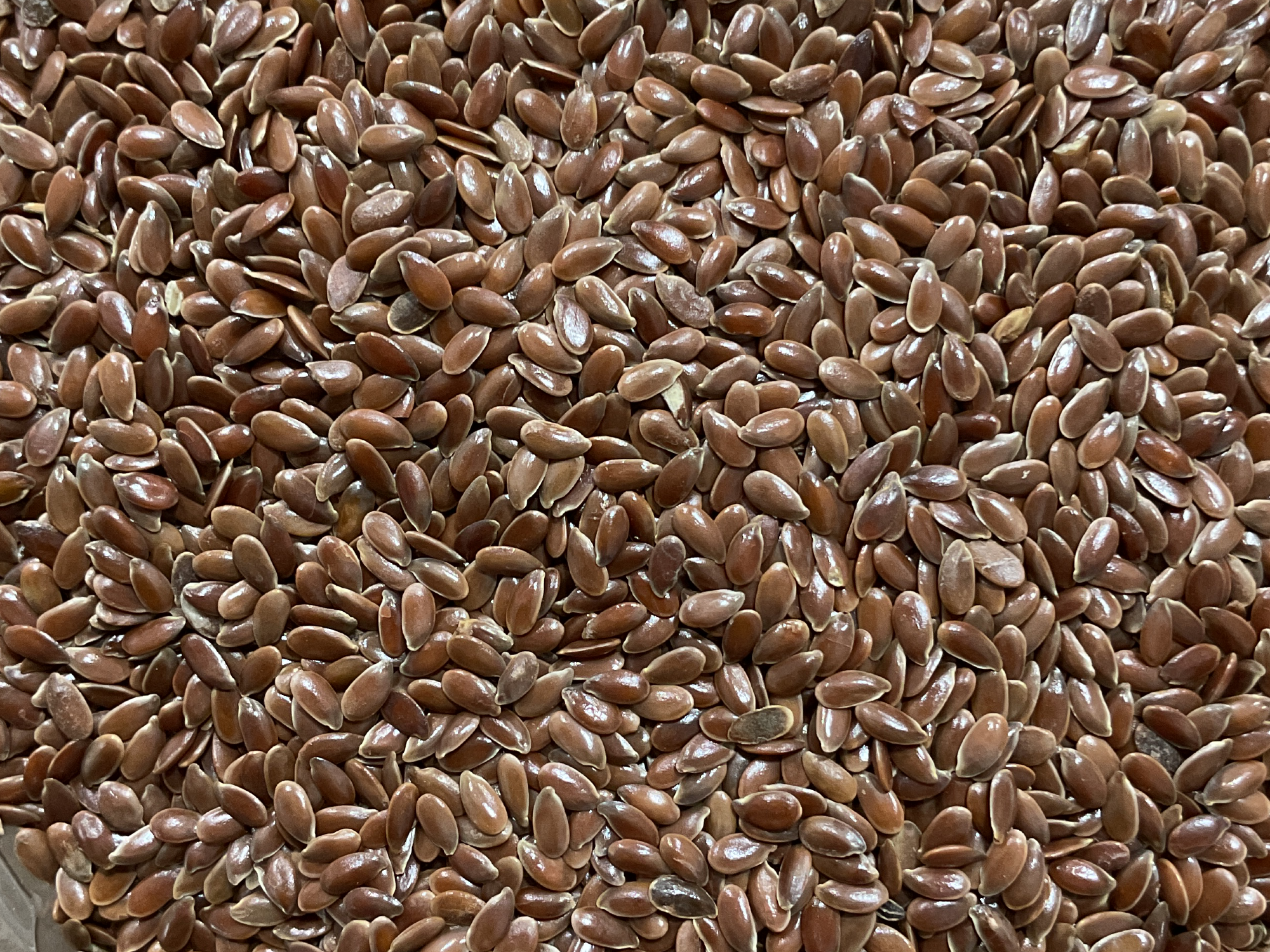 Semillas de lino X 200 g