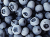 Arándanos congelados X1 Kg