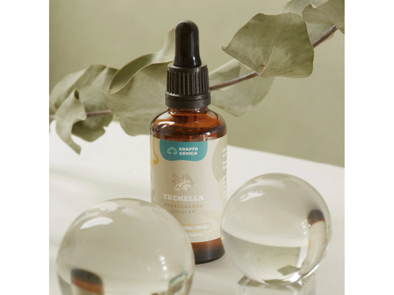 Tintura madre de adaptogeno - Tremella