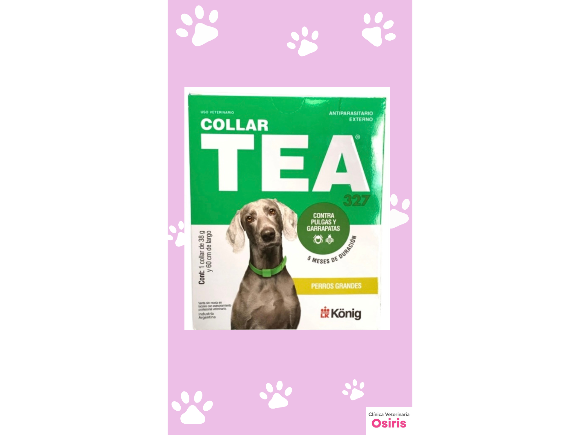 Collar TEA - PERROS GRANDES