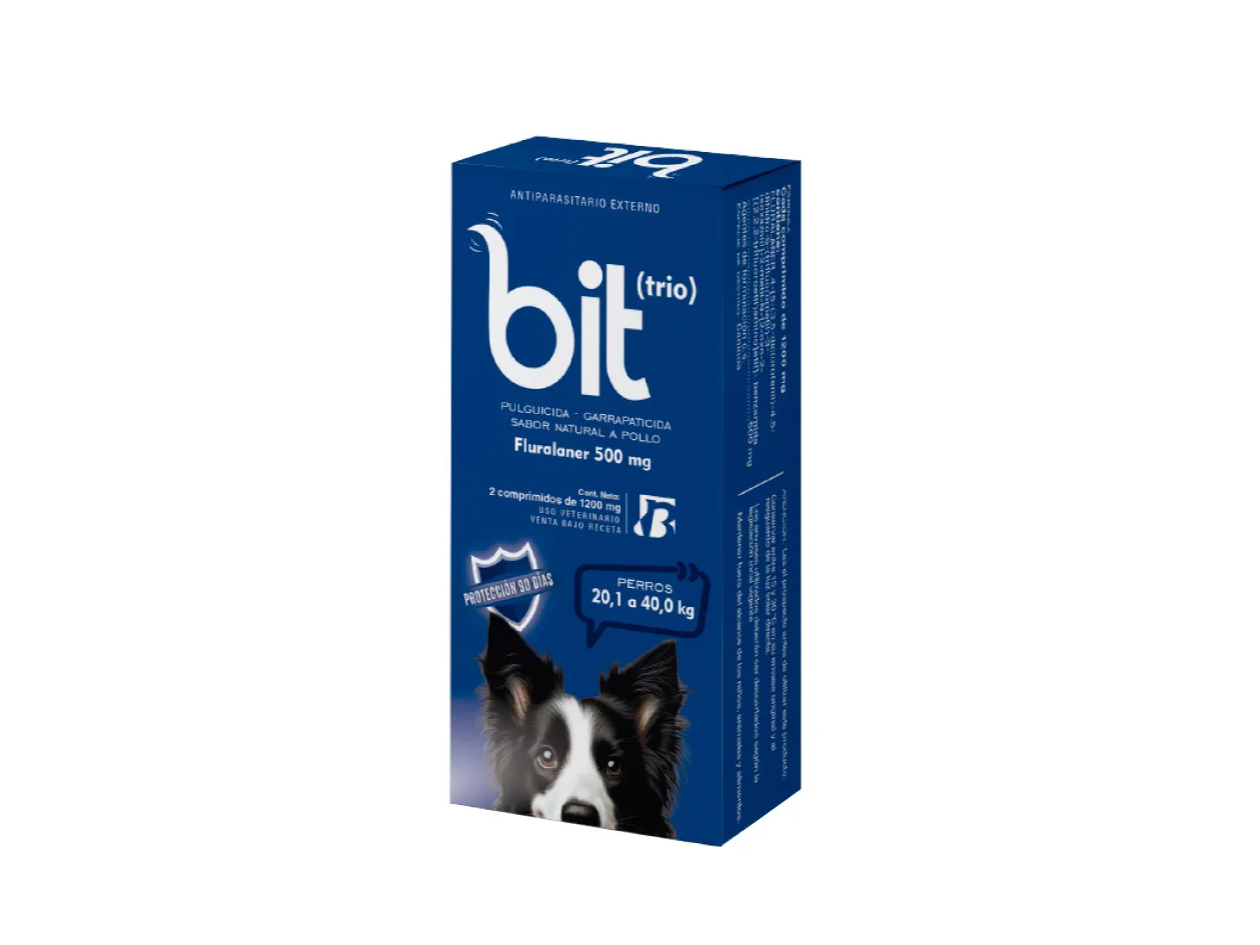 Bit Trio 20 a 40 kg