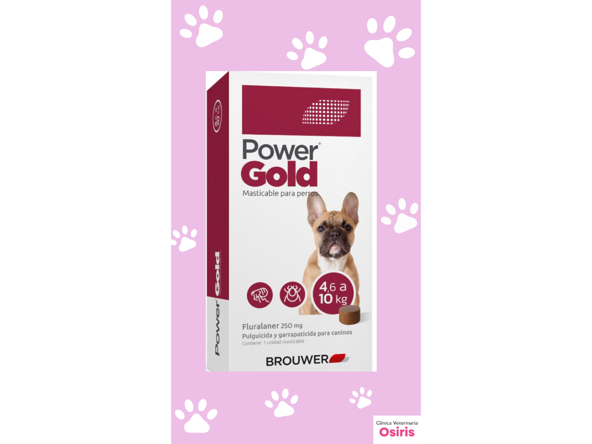 Power Gold  4,6 a 10 kg