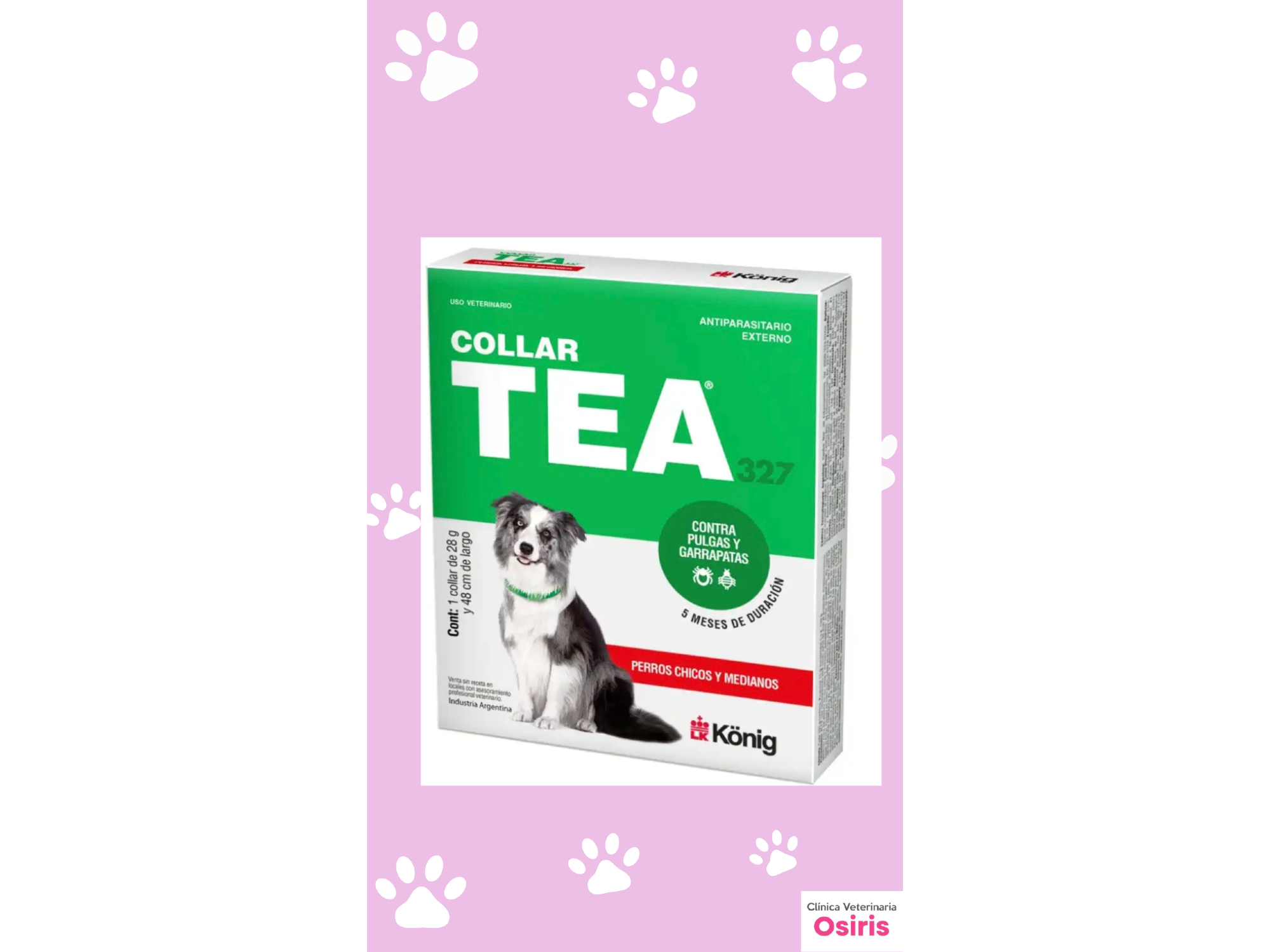 Collar TEA - PERROS CHICOS Y MEDIANOS