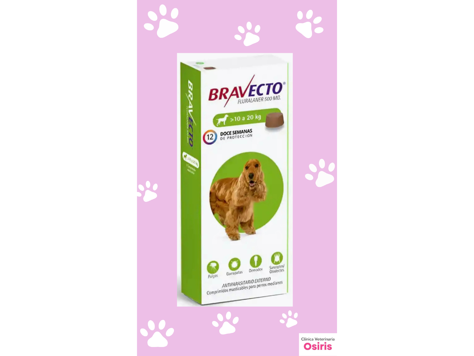 Bravecto Perro 10 a 20 kg