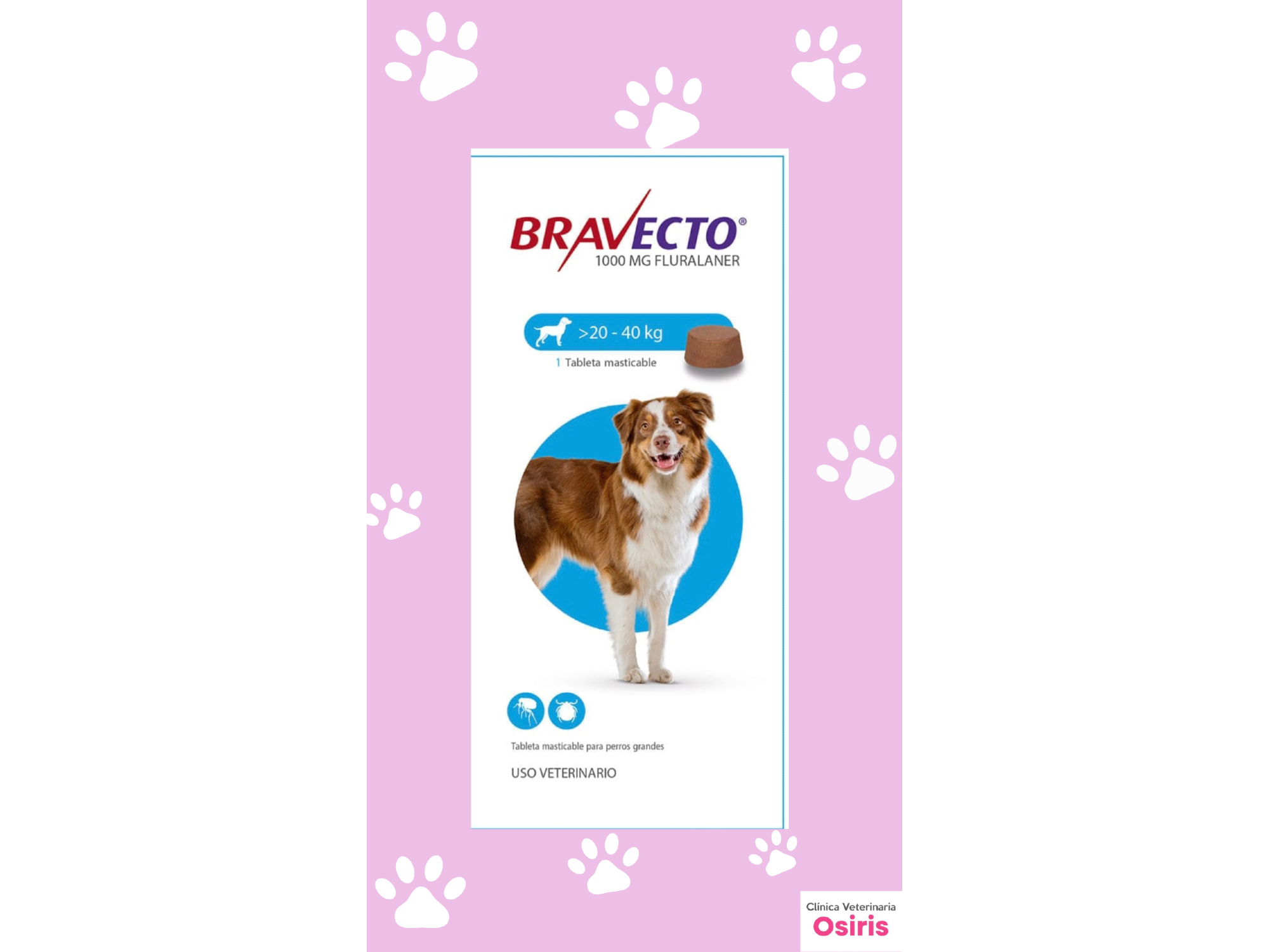 Bravecto Perro 20 a 40 kg