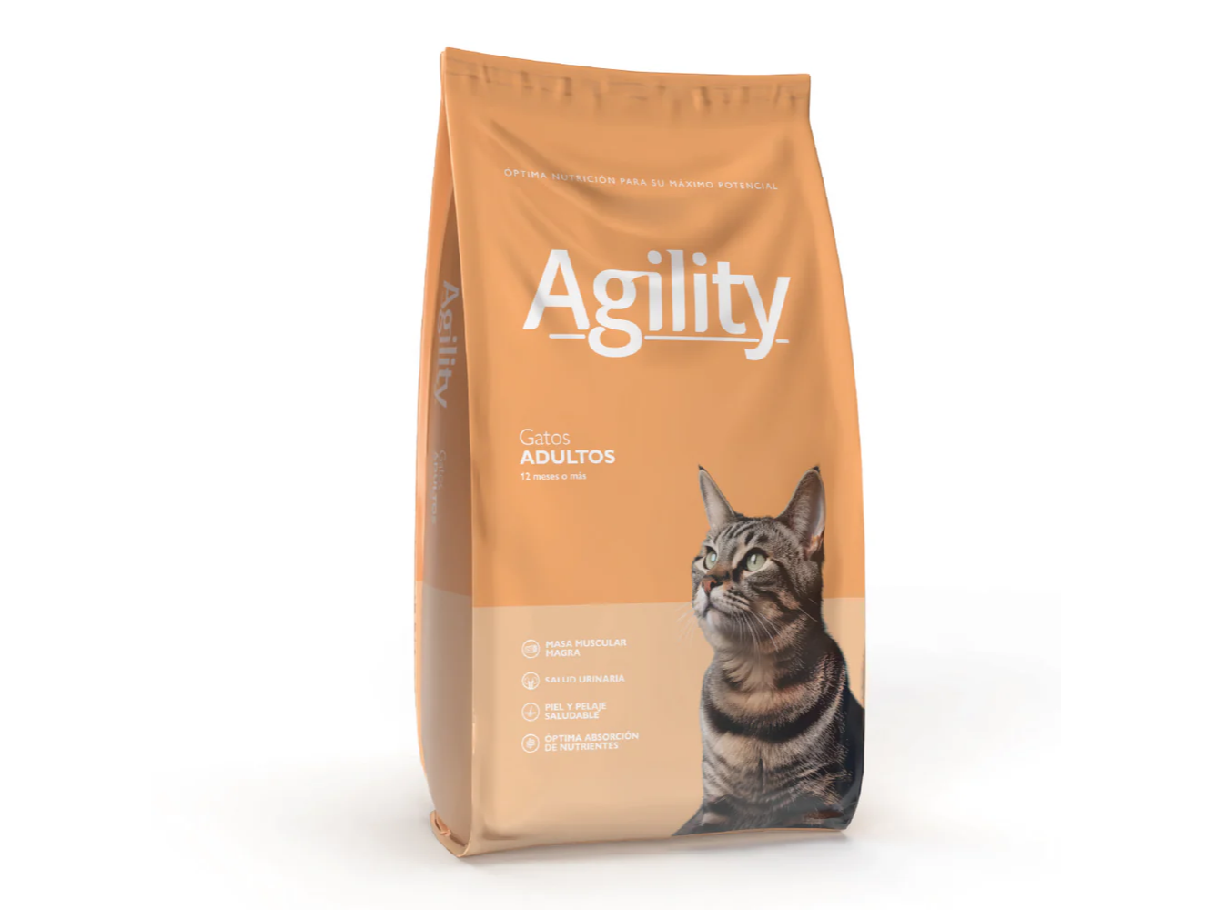 AGILITY GATO ADULTO X 10 KG