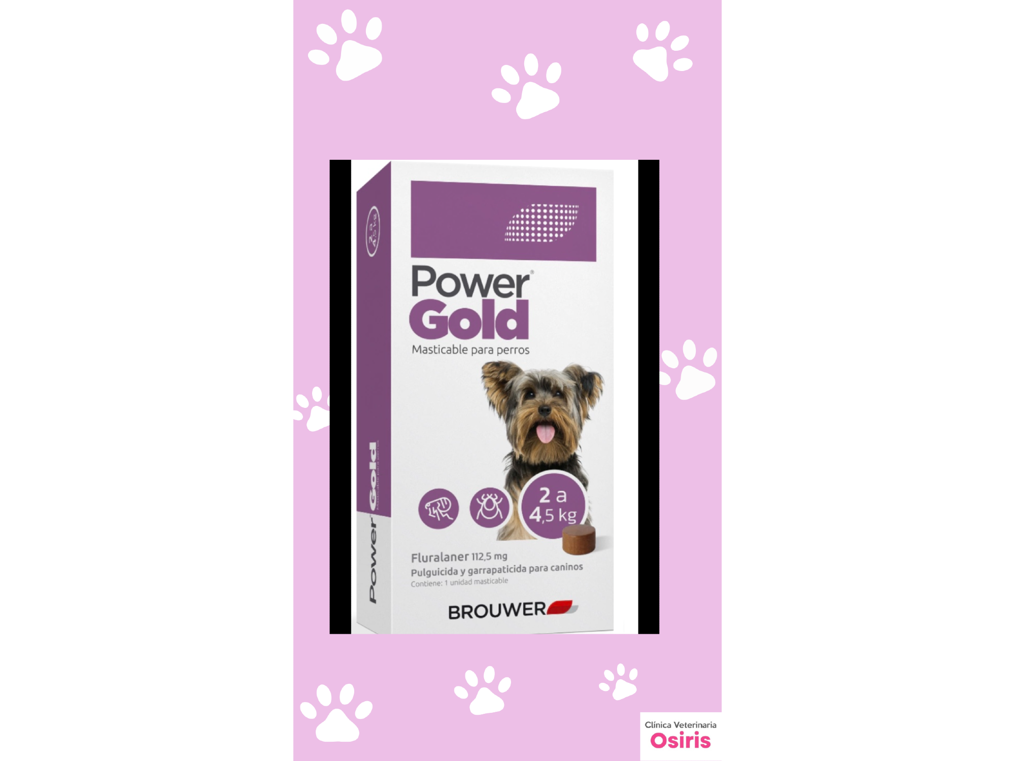 Power Gold  2 a 4,5 kg