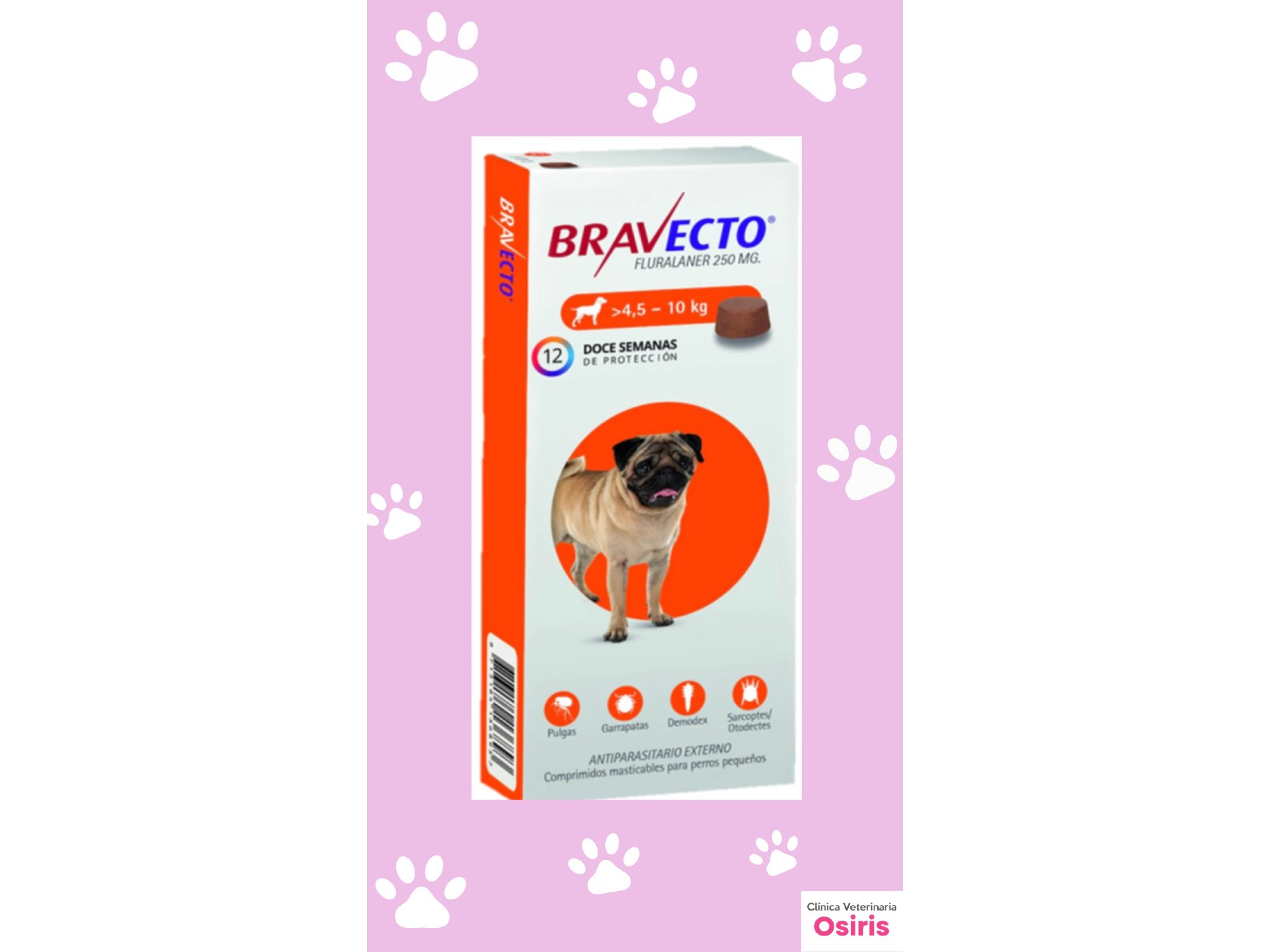 Bravecto Perro 4,5 a 10 kg