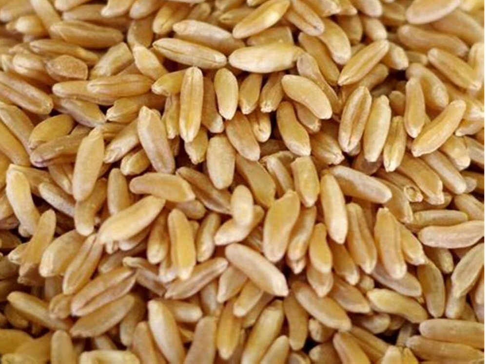 ARROZ INTEGRAL BLUE BONET