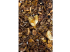 GRANOLA TROPICAL