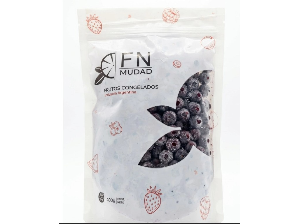 ARÁNDANOS CONGELADOIS X 400 GR FN MUDAD