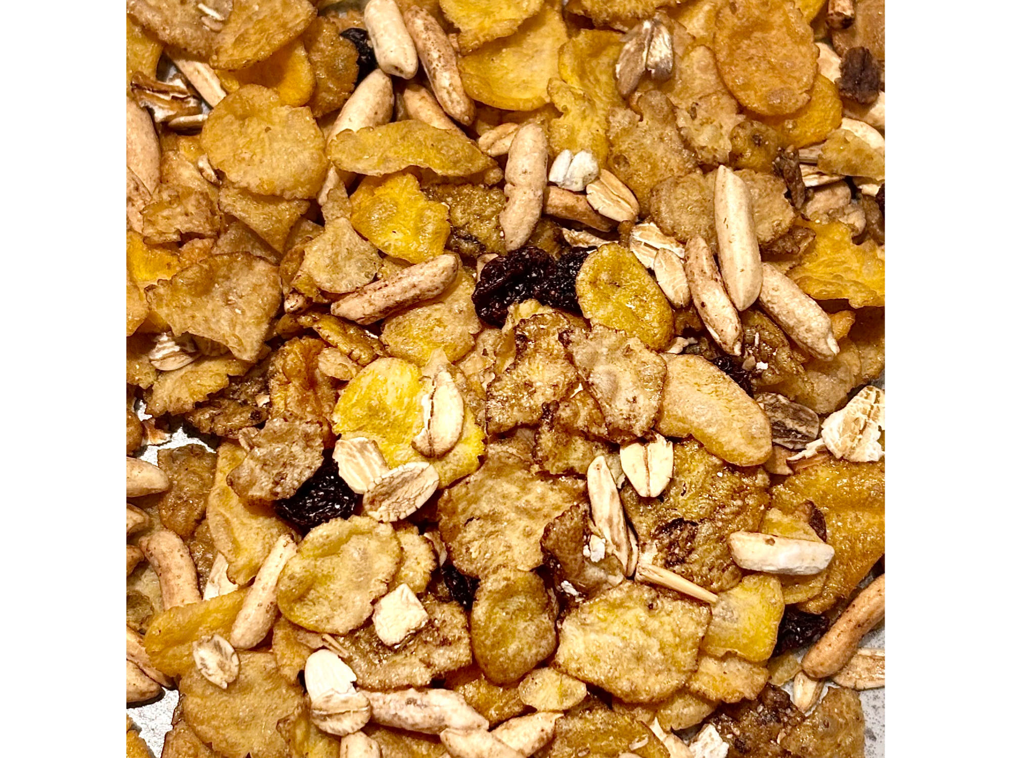 GRANOLA OMEGA