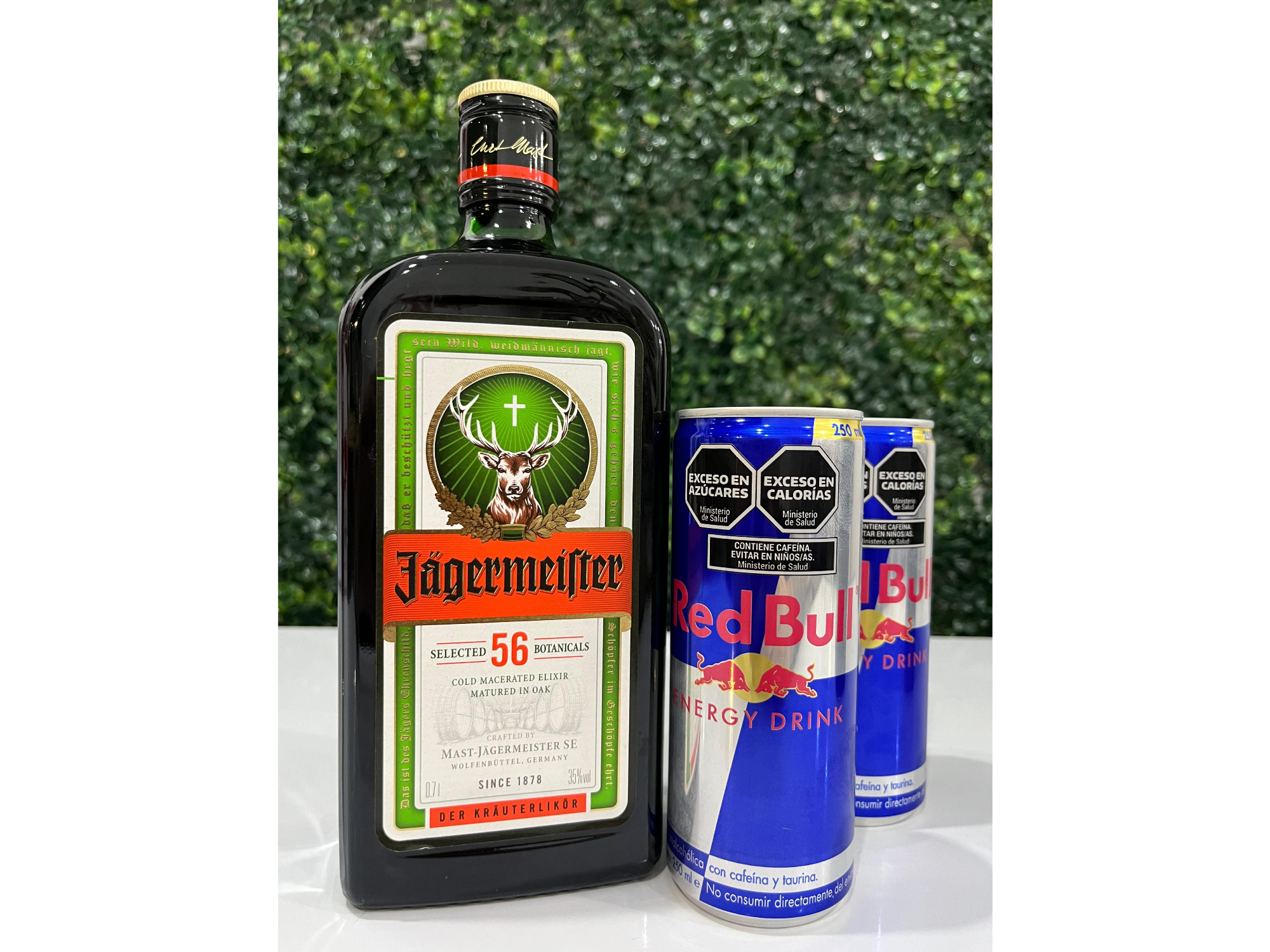 Promo Jägermeister + 4 Red Bull