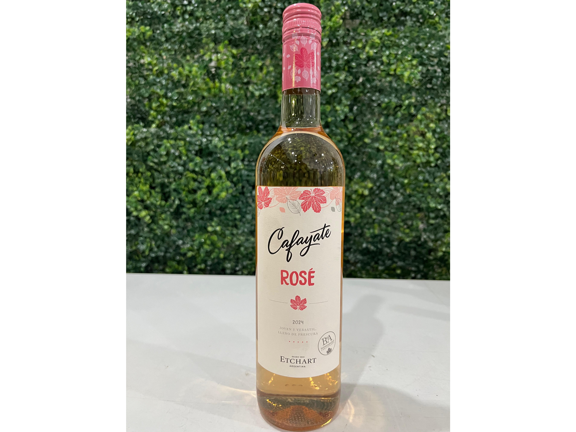 🍓🥂 Cafayate Rosé Malbec