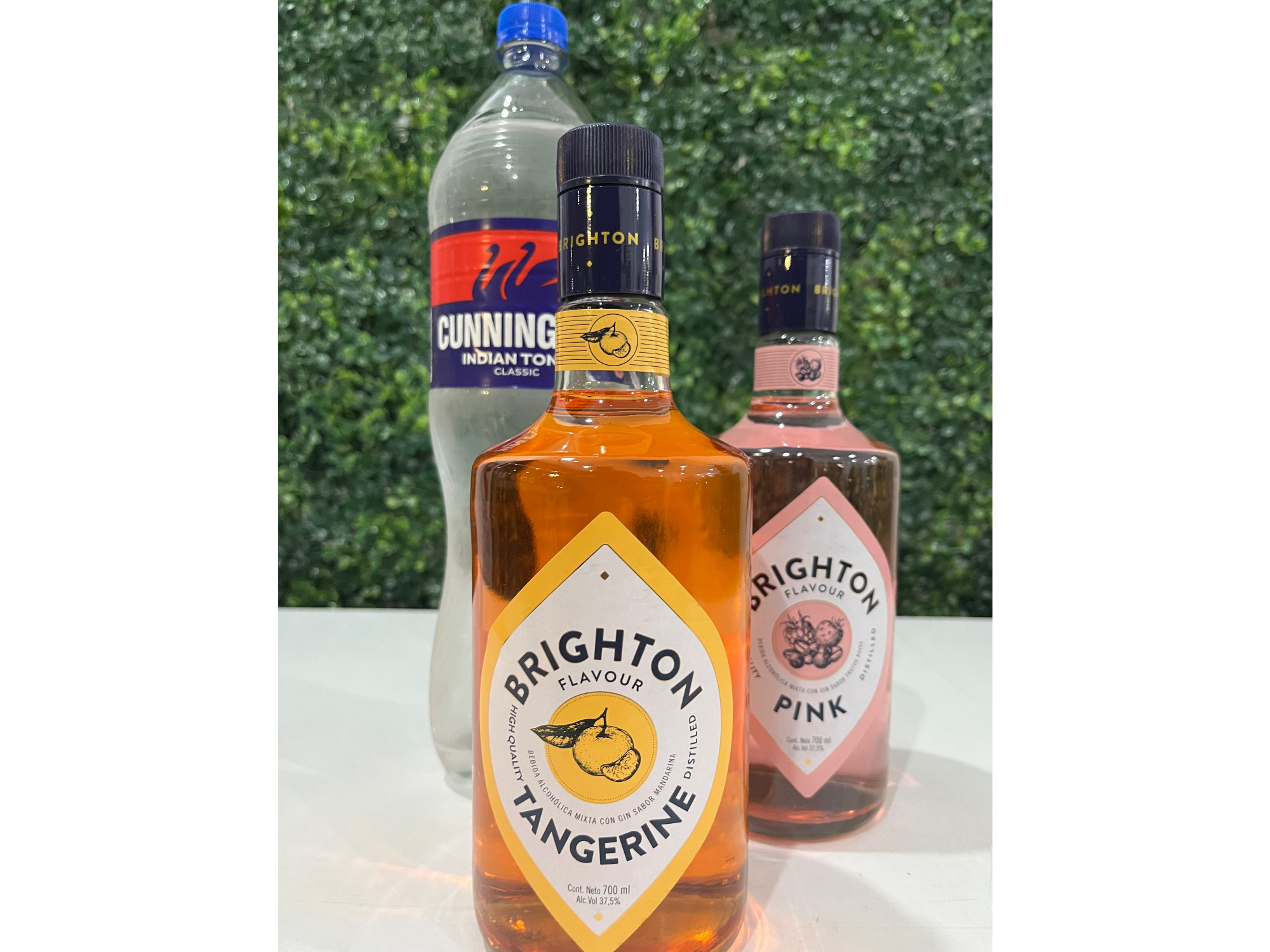 🍹 Combo Gin Brighton Saborizado + Tónica