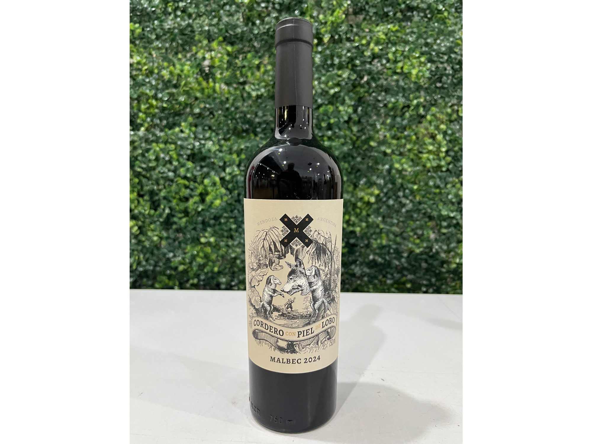 🍷 Cordero con Piel de Lobo Malbec