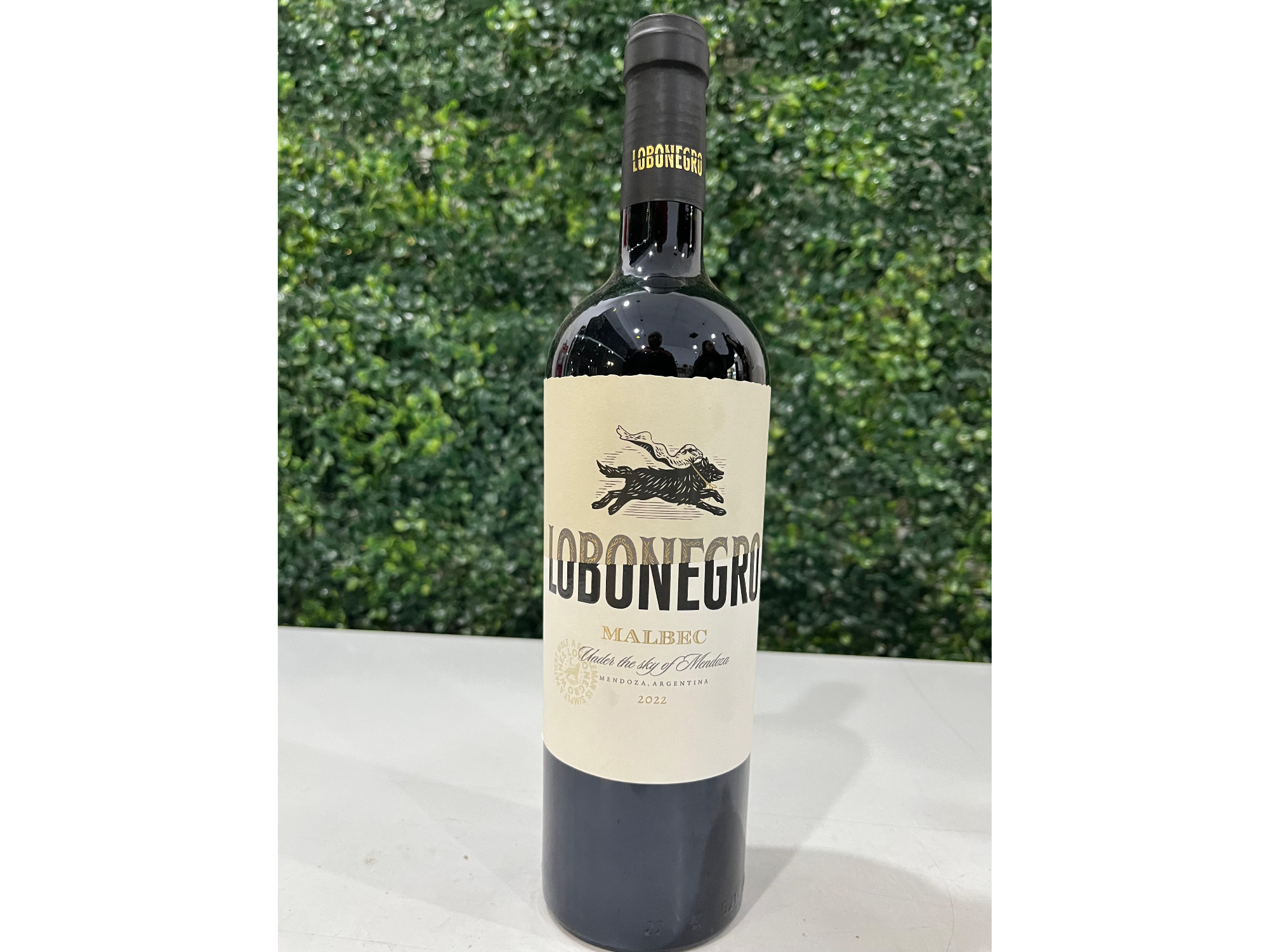 🍷 Lobo Negro Malbec