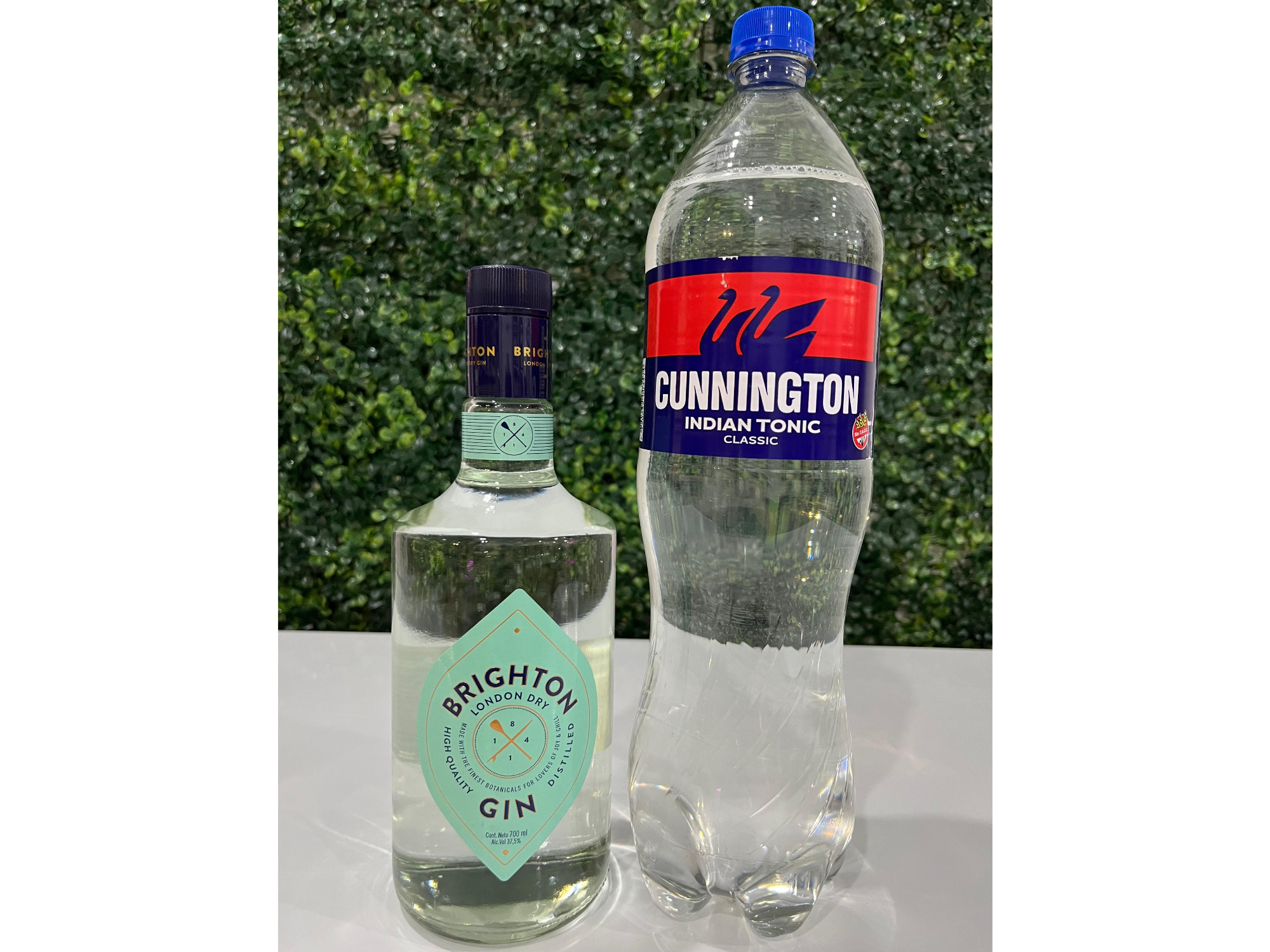 Combo Gin Brigthon + Tónica