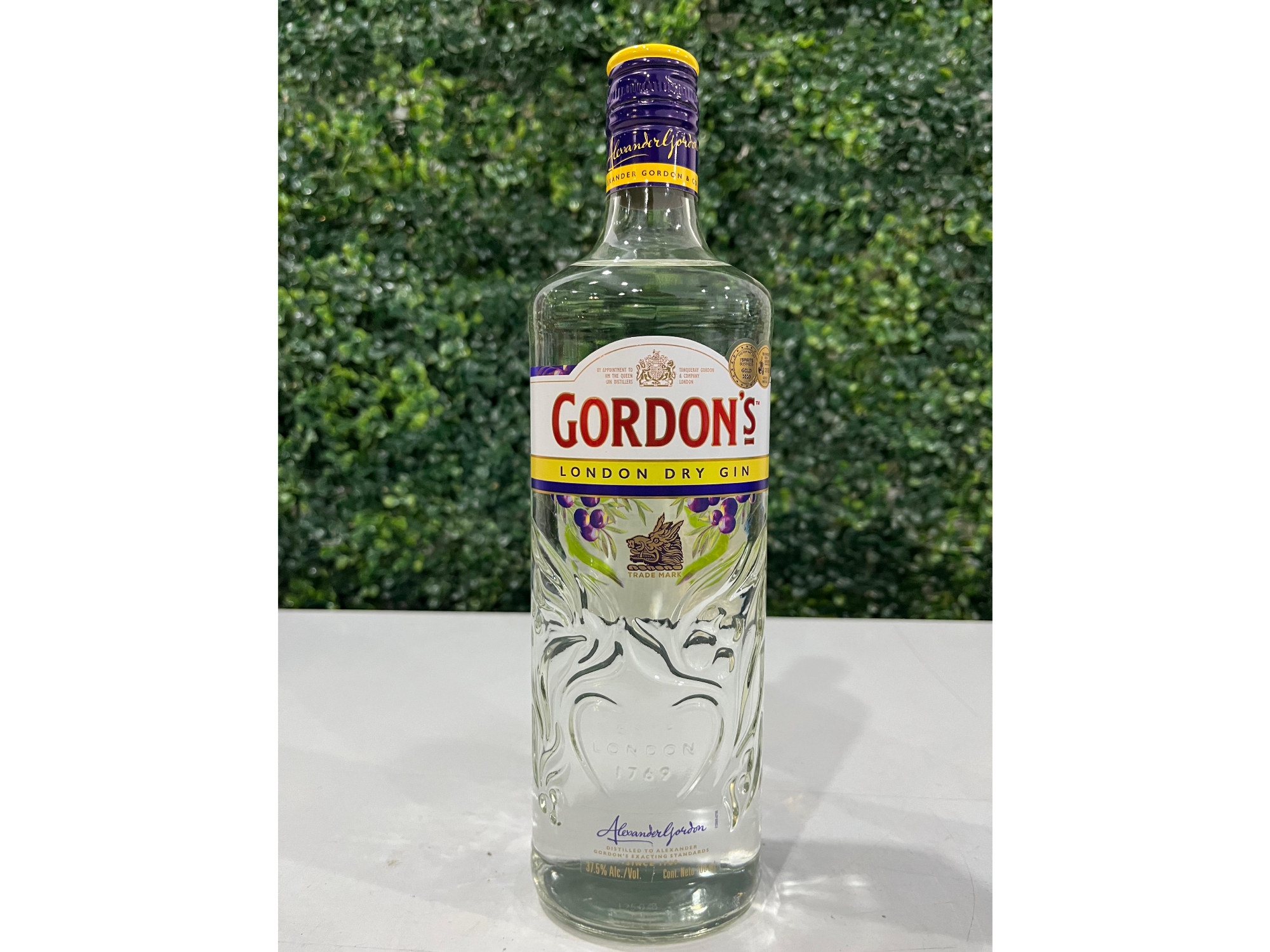 🍹 Gin Gordons