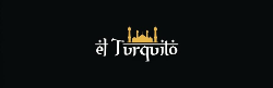 Logo EL TURQUITO