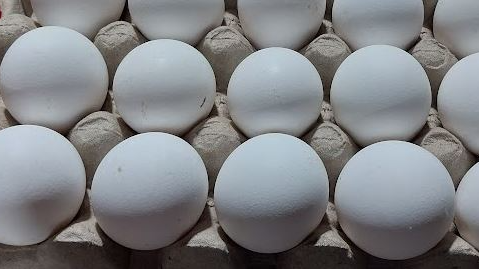 HUEVOS BLANCOS