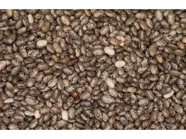 SEMILLAS 1KG