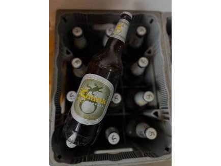 CAJON DE CERVEZA IGUANA 1LT POR 12UN