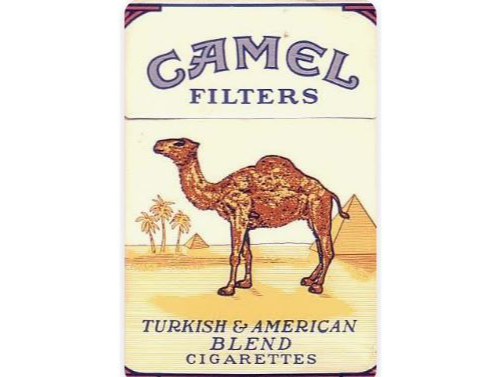 CAMEL