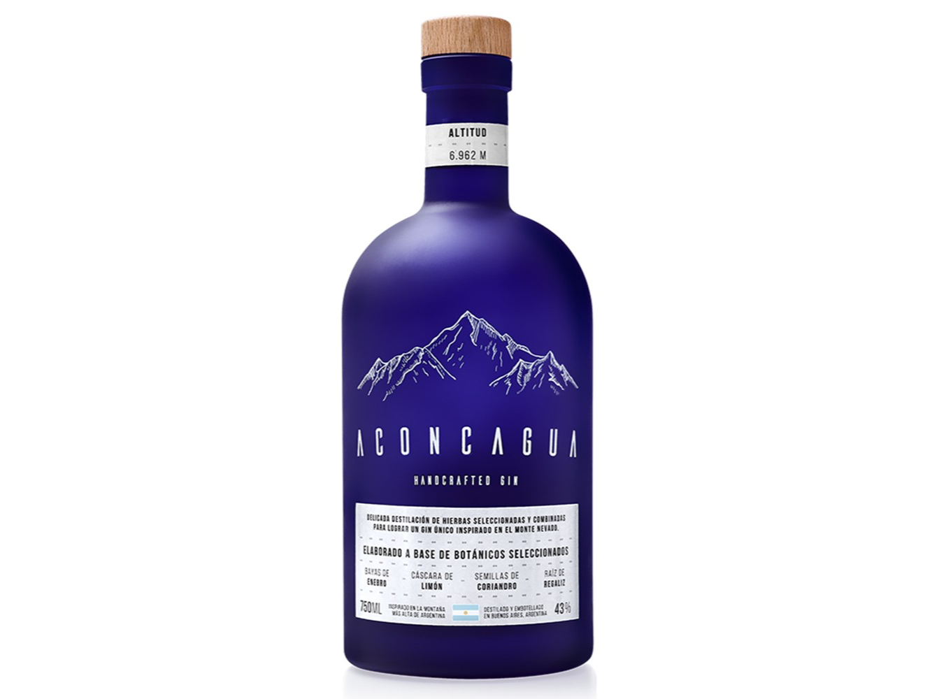 aconcagua azul