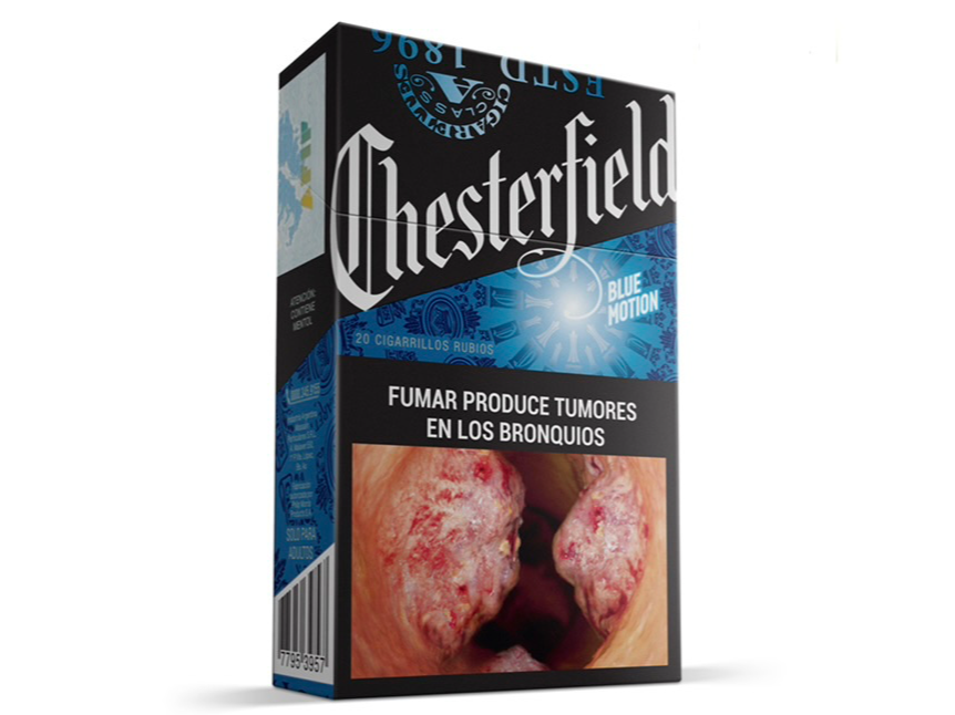 Chester Blue Motion box x20