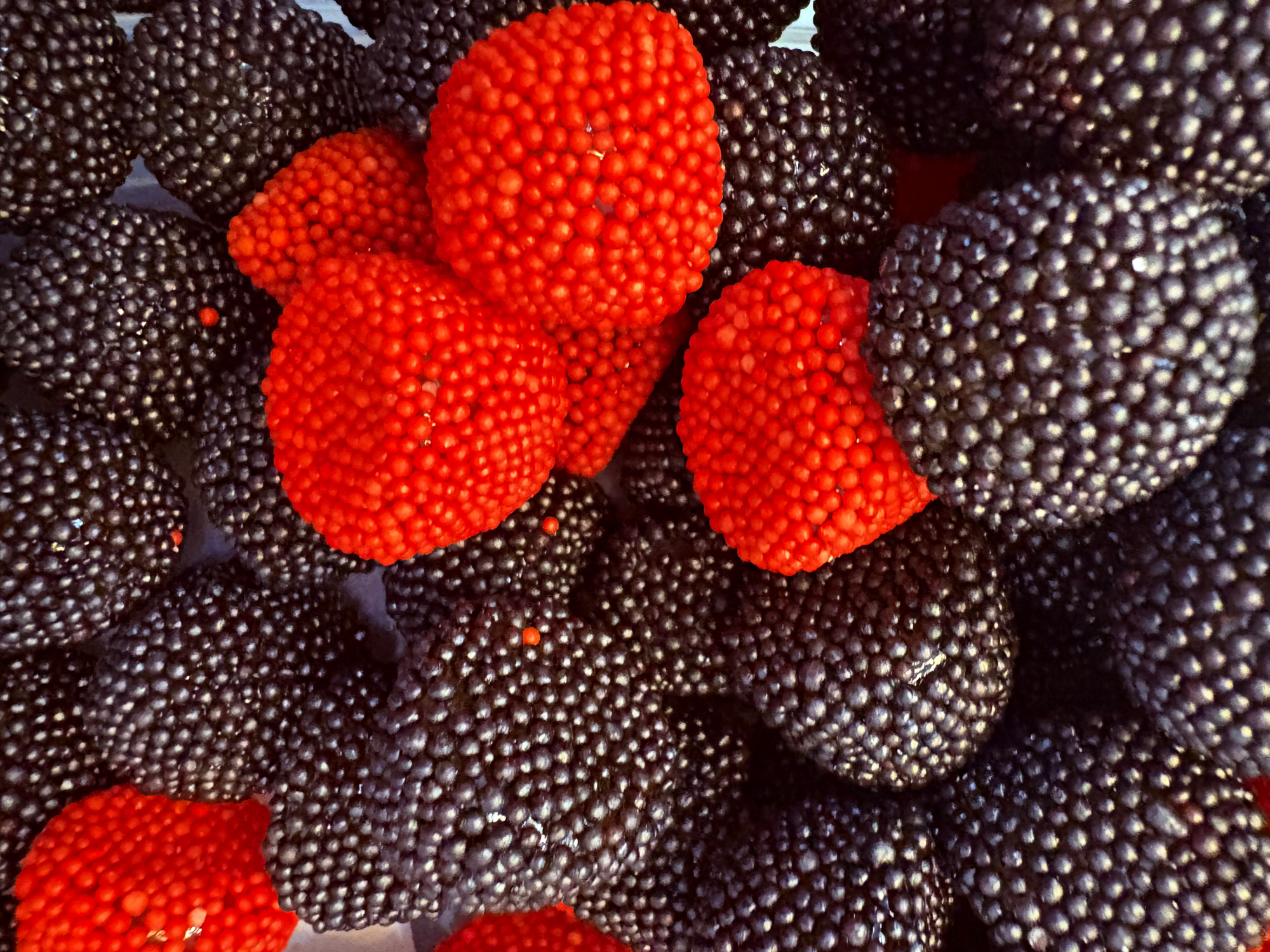 Moras x 100gr