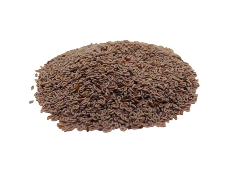 SEMILLA DE PSYLLIUM