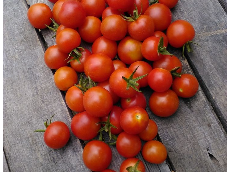 Tomates cherry