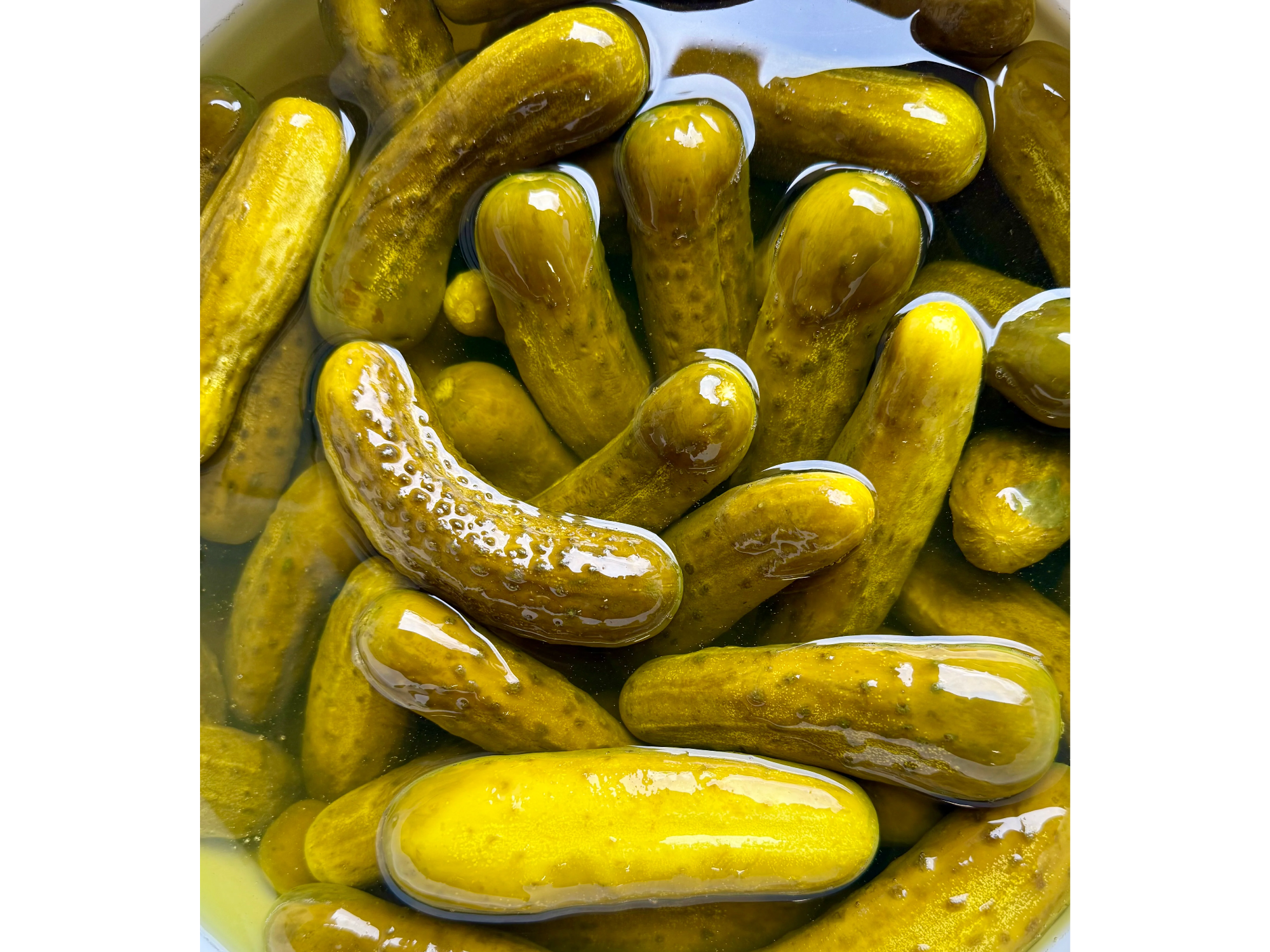 PICKLE