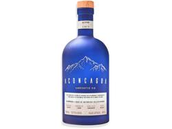 ACONCAGUA x 700 ML