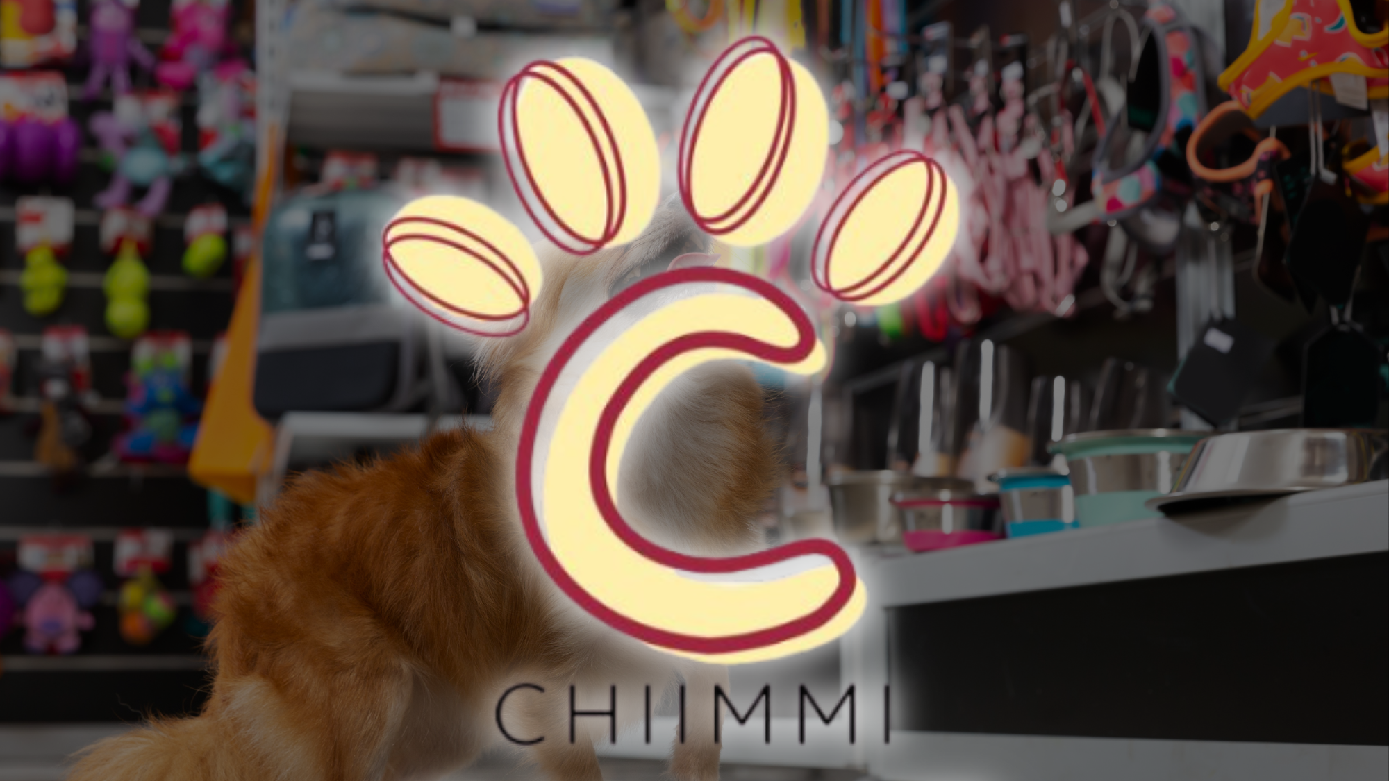 Chimmi Ropa Para Mascotas