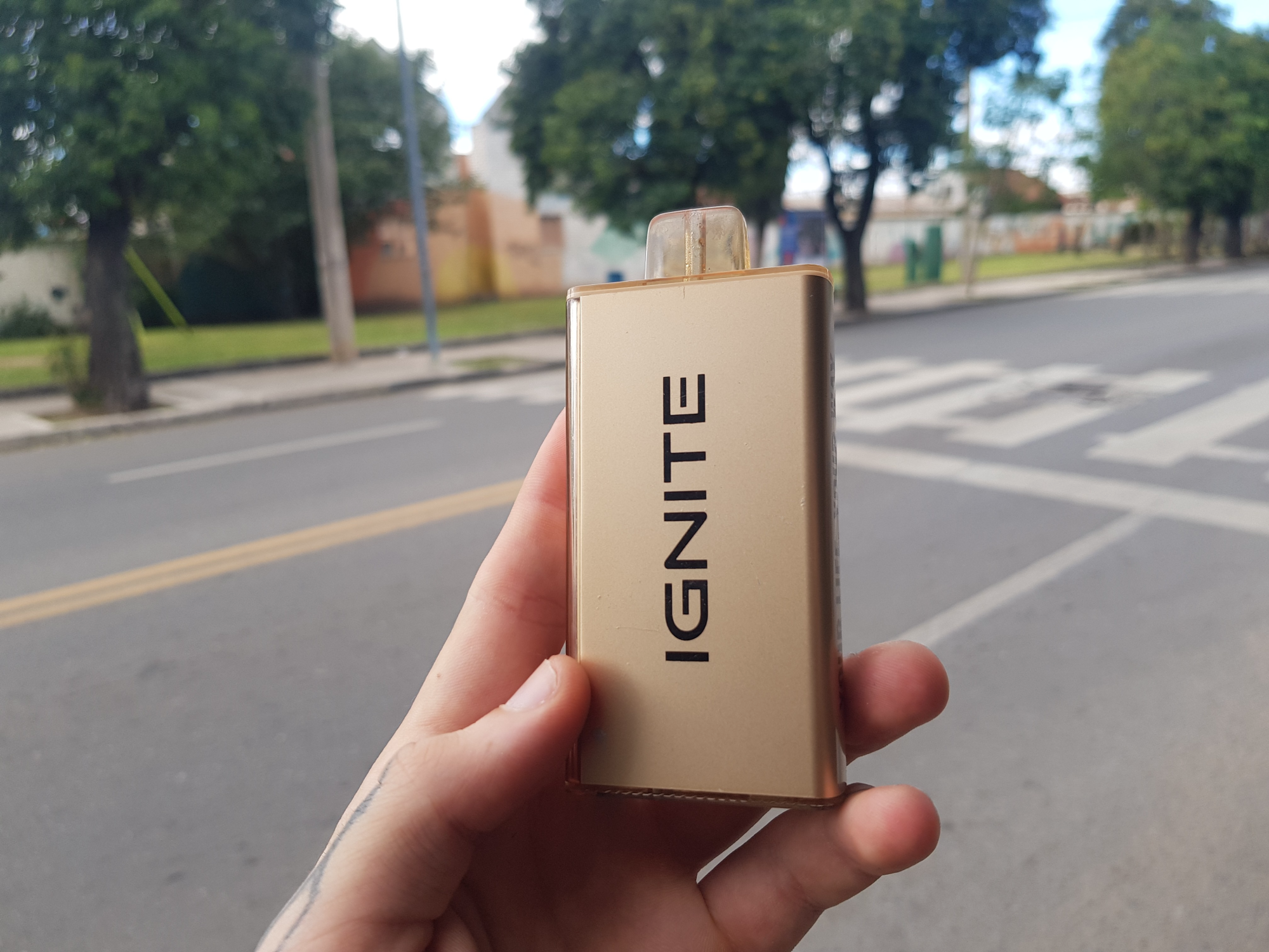 V250