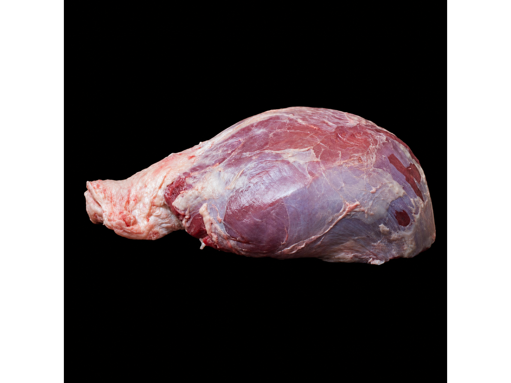 Bola de Lomo