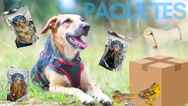 PAQUETES DE PROMOCION