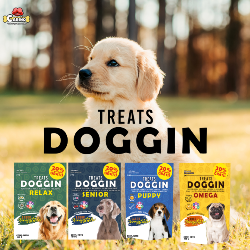 Logo Premios Doggin Treats